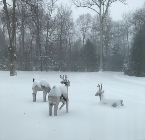 Blog perusahaan terbaru tentang Kerbau Kristalin: Di Mana Alam Bertemu Geometri