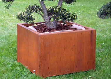 Harga yang bagus Kotak Bentuk Corten Steel Planter Untuk Dekorasi Luar Ruangan / Taman / Umum on line